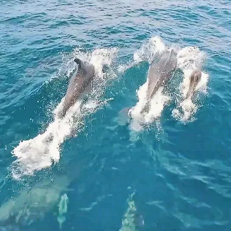 Hollywood By Algarve Vacation